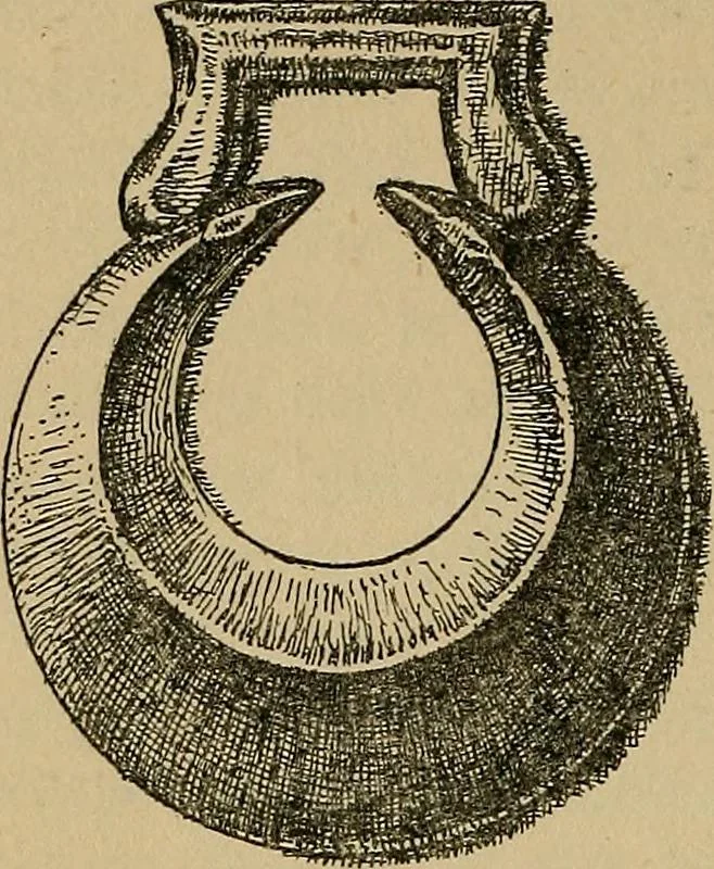 An illustration from The heritage of dress; being notes on the history and evolution of clothes, 1912, leaf 266