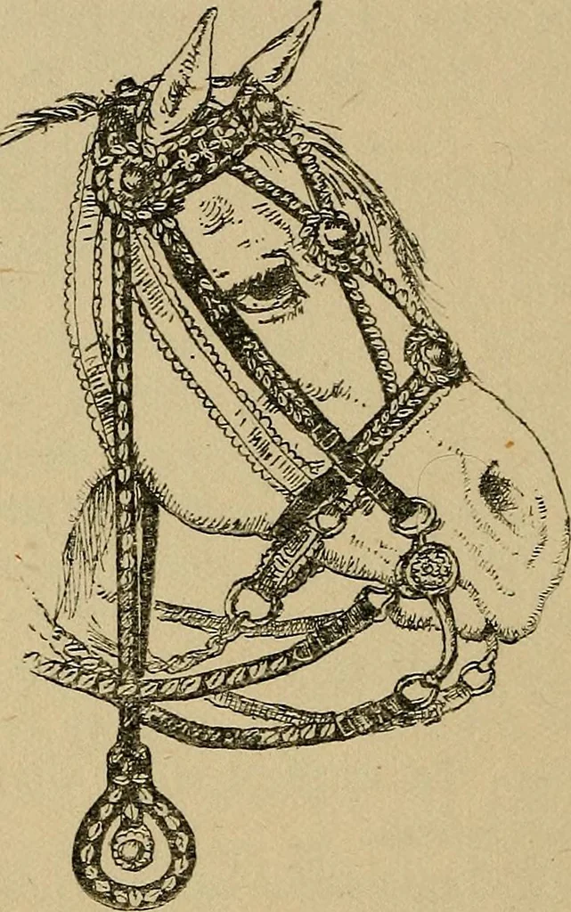 An illustration from The heritage of dress; being notes on the history and evolution of clothes, 1912, leaf 268