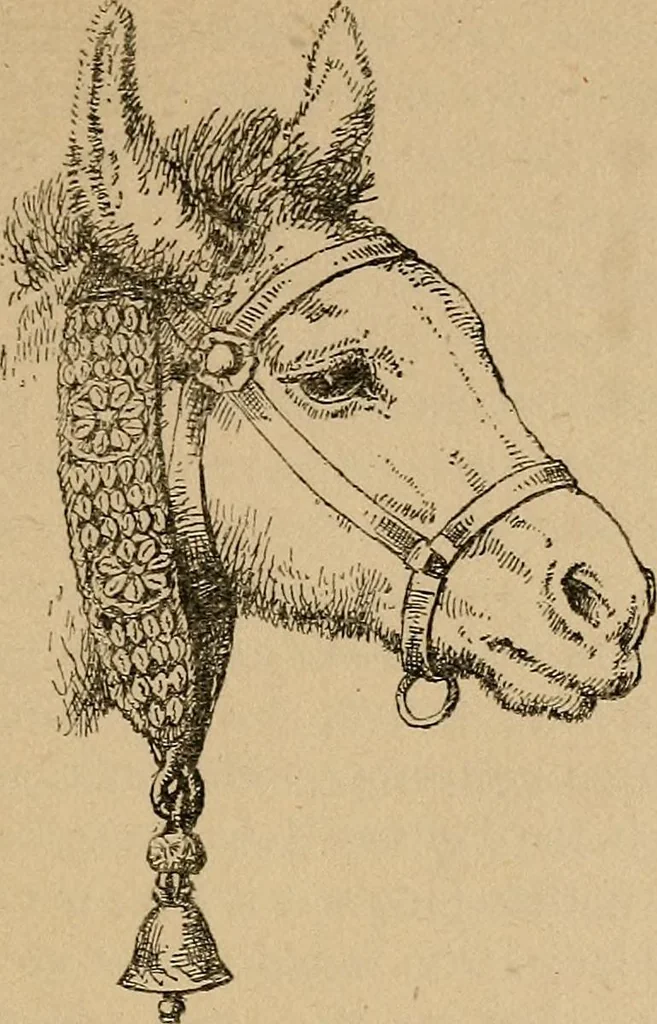 An illustration from The heritage of dress; being notes on the history and evolution of clothes, 1912, leaf 269