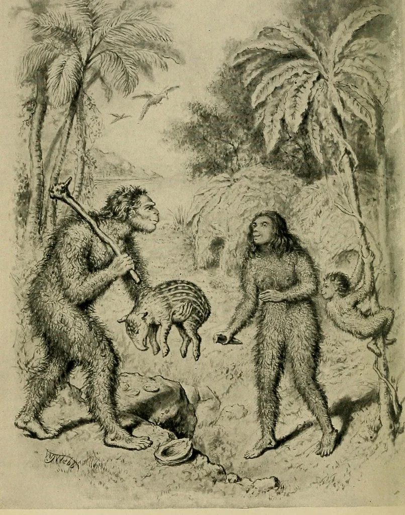 An illustration from The heritage of dress; being notes on the history and evolution of clothes, 1912, leaf 6