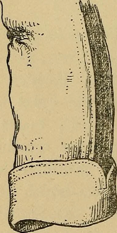 An illustration from The heritage of dress; being notes on the history and evolution of clothes, 1912, leaf 62