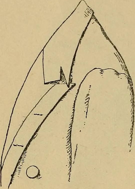 An illustration from The heritage of dress; being notes on the history and evolution of clothes, 1912, leaf 66