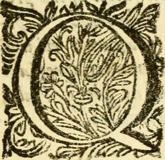 An illustration from Hermanni Witsii Aegyptiaca et Dekaphylon : sive, De Aegyptiacorum sacrorum cum Hebraicis collatione libri tres. Et de decem tribubus Israelis liber singularis. Accessit diatribe de legione fulminatrice christianorum, sub imperatore Marco Aurelio Antonino, 1696, leaf 20