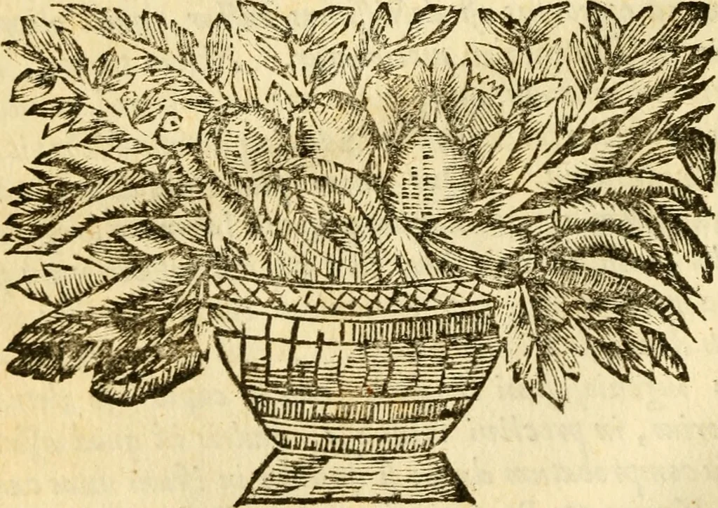 An illustration from Hermanni Witsii Aegyptiaca et Dekaphylon : sive, De Aegyptiacorum sacrorum cum Hebraicis collatione libri tres. Et de decem tribubus Israelis liber singularis. Accessit diatribe de legione fulminatrice christianorum, sub imperatore Marco Aurelio Antonino, 1696, leaf 21