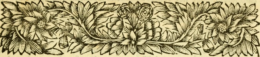 An illustration from Hermanni Witsii Aegyptiaca et Dekaphylon : sive, De Aegyptiacorum sacrorum cum Hebraicis collatione libri tres. Et de decem tribubus Israelis liber singularis. Accessit diatribe de legione fulminatrice christianorum, sub imperatore Marco Aurelio Antonino, 1696, leaf 22