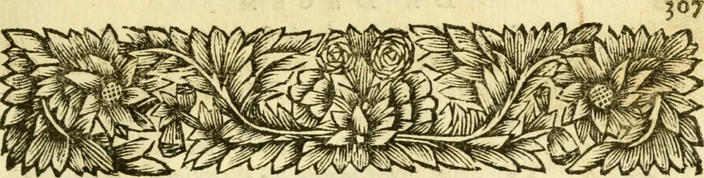 An illustration from Hermanni Witsii Aegyptiaca et Dekaphylon : sive, De Aegyptiacorum sacrorum cum Hebraicis collatione libri tres. Et de decem tribubus Israelis liber singularis. Accessit diatribe de legione fulminatrice christianorum, sub imperatore Marco Aurelio Antonino, 1696, leaf 328