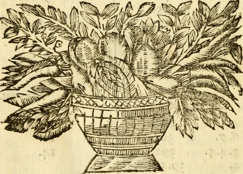 An illustration from Hermanni Witsii Aegyptiaca et Dekaphylon : sive, De Aegyptiacorum sacrorum cum Hebraicis collatione libri tres. Et de decem tribubus Israelis liber singularis. Accessit diatribe de legione fulminatrice christianorum, sub imperatore Marco Aurelio Antonino, 1696, leaf 489