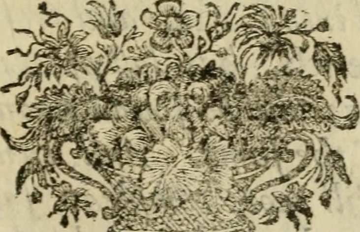 An illustration from The hermetical triumph, or, The victorious philosophical stone : a treatise ... concerning the hermetical magistery : translated from the French. To which is added, The ancient war of the knights ... : translated from the German, 1745, leaf 178