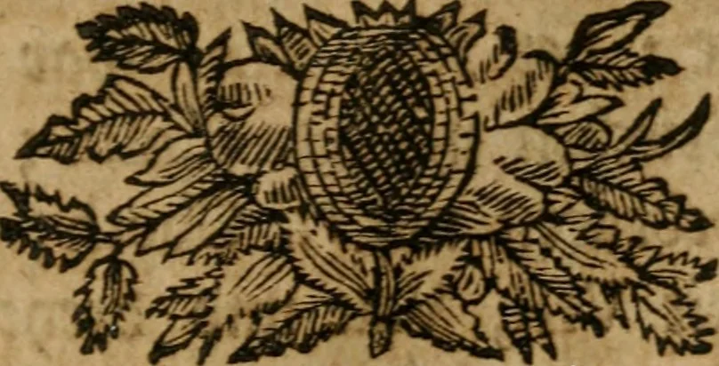 An illustration from Hermetischer Triumph-Bogen, auf zweyen Wunder-Säulen der grossen und kleinen Welt bevestiget : das ist, zwey Tractätlein von der wahren, ewigen und einigen Weisheit zu des Menschen zeitlichem und ewigem Wohlseyn : das erste, genannt Cabbala mystica naturae, handelnd von dem feurigen Liebes-Saltze der göttlichen Barmhertzigkeit, sonst genannt lapis philosophorum : und das zweyte, Occulta occultissime, handelnd von der ersten materia lapidis philosophorum, und von dem Menschen, sonderlich aber von ihrer Reinigung, um sie zu dem Endzweck der Weisheit zu befördern, 1741, leaf 146
