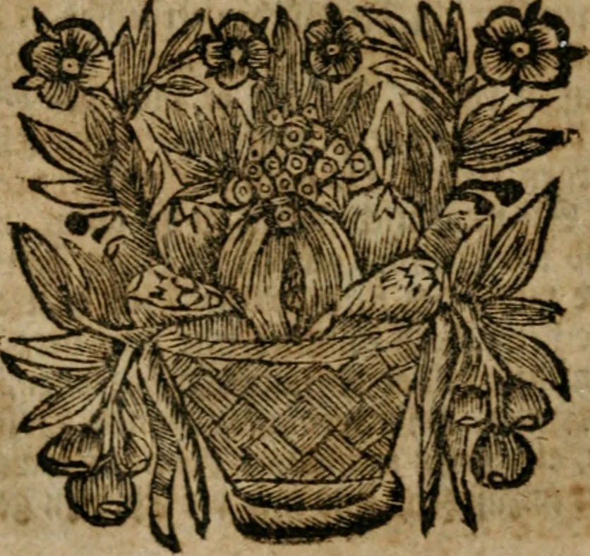 An illustration from Hermetischer Triumph-Bogen, auf zweyen Wunder-Säulen der grossen und kleinen Welt bevestiget : das ist, zwey Tractätlein von der wahren, ewigen und einigen Weisheit zu des Menschen zeitlichem und ewigem Wohlseyn : das erste, genannt Cabbala mystica naturae, handelnd von dem feurigen Liebes-Saltze der göttlichen Barmhertzigkeit, sonst genannt lapis philosophorum : und das zweyte, Occulta occultissime, handelnd von der ersten materia lapidis philosophorum, und von dem Menschen, sonderlich aber von ihrer Reinigung, um sie zu dem Endzweck der Weisheit zu befördern, 1741, leaf 185