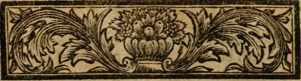 An illustration from Hermetischer Triumph-Bogen, auf zweyen Wunder-Säulen der grossen und kleinen Welt bevestiget : das ist, zwey Tractätlein von der wahren, ewigen und einigen Weisheit zu des Menschen zeitlichem und ewigem Wohlseyn : das erste, genannt Cabbala mystica naturae, handelnd von dem feurigen Liebes-Saltze der göttlichen Barmhertzigkeit, sonst genannt lapis philosophorum : und das zweyte, Occulta occultissime, handelnd von der ersten materia lapidis philosophorum, und von dem Menschen, sonderlich aber von ihrer Reinigung, um sie zu dem Endzweck der Weisheit zu befördern, 1741, leaf 188