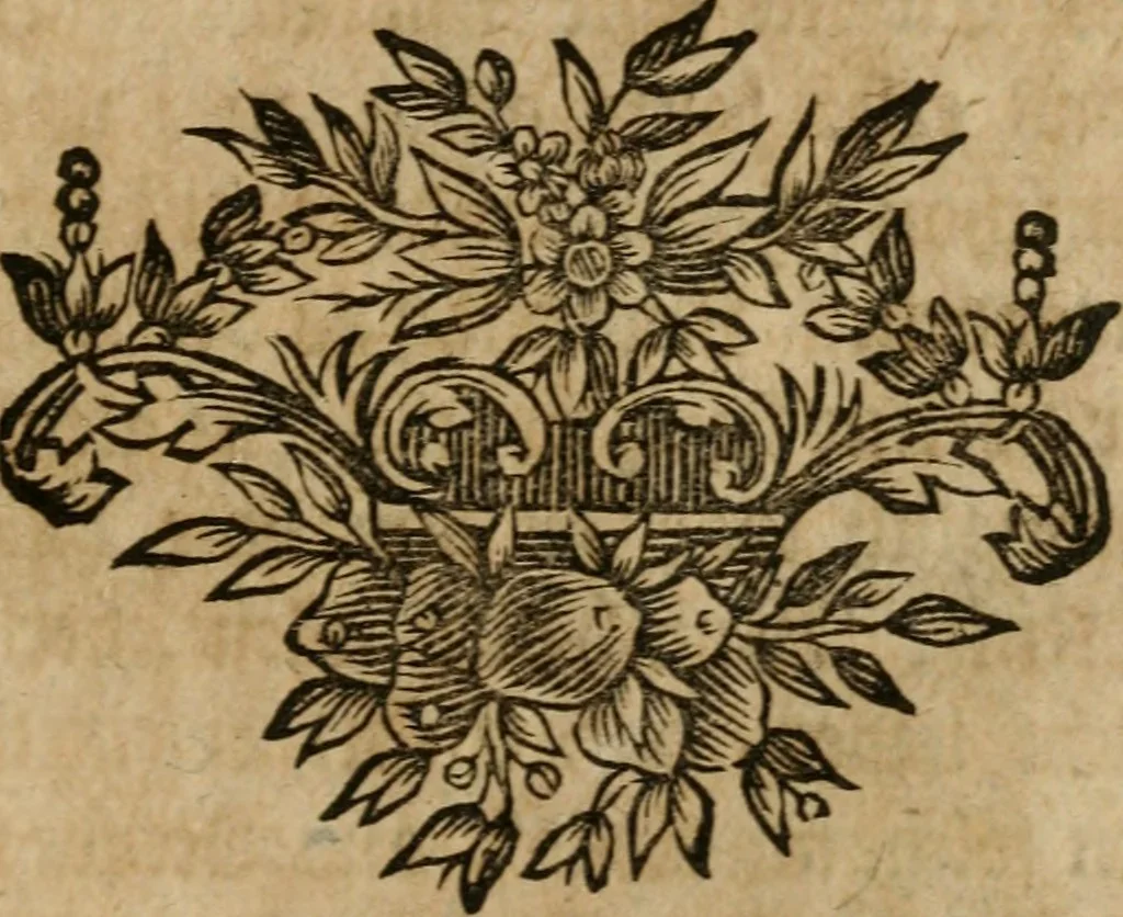 An illustration from Hermetischer Triumph-Bogen, auf zweyen Wunder-Säulen der grossen und kleinen Welt bevestiget : das ist, zwey Tractätlein von der wahren, ewigen und einigen Weisheit zu des Menschen zeitlichem und ewigem Wohlseyn : das erste, genannt Cabbala mystica naturae, handelnd von dem feurigen Liebes-Saltze der göttlichen Barmhertzigkeit, sonst genannt lapis philosophorum : und das zweyte, Occulta occultissime, handelnd von der ersten materia lapidis philosophorum, und von dem Menschen, sonderlich aber von ihrer Reinigung, um sie zu dem Endzweck der Weisheit zu befördern, 1741, leaf 204