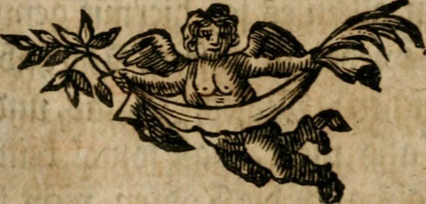 An illustration from Hermetischer Triumph-Bogen, auf zweyen Wunder-Säulen der grossen und kleinen Welt bevestiget : das ist, zwey Tractätlein von der wahren, ewigen und einigen Weisheit zu des Menschen zeitlichem und ewigem Wohlseyn : das erste, genannt Cabbala mystica naturae, handelnd von dem feurigen Liebes-Saltze der göttlichen Barmhertzigkeit, sonst genannt lapis philosophorum : und das zweyte, Occulta occultissime, handelnd von der ersten materia lapidis philosophorum, und von dem Menschen, sonderlich aber von ihrer Reinigung, um sie zu dem Endzweck der Weisheit zu befördern, 1741, leaf 225