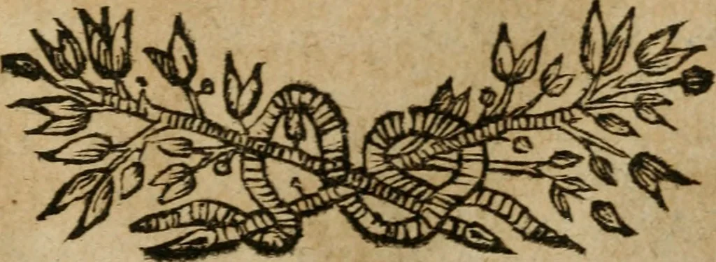 An illustration from Hermetischer Triumph-Bogen, auf zweyen Wunder-Säulen der grossen und kleinen Welt bevestiget : das ist, zwey Tractätlein von der wahren, ewigen und einigen Weisheit zu des Menschen zeitlichem und ewigem Wohlseyn : das erste, genannt Cabbala mystica naturae, handelnd von dem feurigen Liebes-Saltze der göttlichen Barmhertzigkeit, sonst genannt lapis philosophorum : und das zweyte, Occulta occultissime, handelnd von der ersten materia lapidis philosophorum, und von dem Menschen, sonderlich aber von ihrer Reinigung, um sie zu dem Endzweck der Weisheit zu befördern, 1741, leaf 288