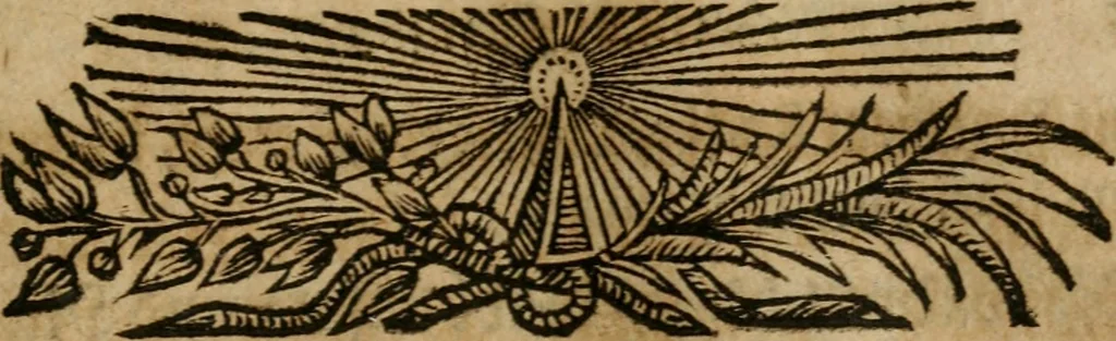 An illustration from Hermetischer Triumph-Bogen, auf zweyen Wunder-Säulen der grossen und kleinen Welt bevestiget : das ist, zwey Tractätlein von der wahren, ewigen und einigen Weisheit zu des Menschen zeitlichem und ewigem Wohlseyn : das erste, genannt Cabbala mystica naturae, handelnd von dem feurigen Liebes-Saltze der göttlichen Barmhertzigkeit, sonst genannt lapis philosophorum : und das zweyte, Occulta occultissime, handelnd von der ersten materia lapidis philosophorum, und von dem Menschen, sonderlich aber von ihrer Reinigung, um sie zu dem Endzweck der Weisheit zu befördern, 1741, leaf 88