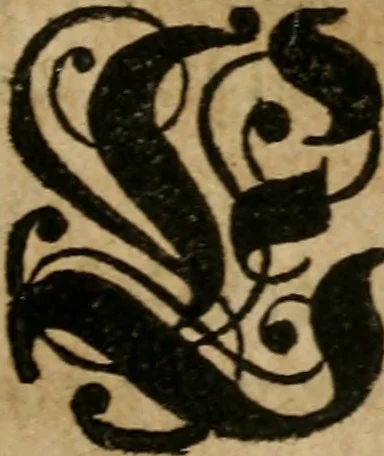 An illustration from Hermetischer Triumph-Bogen, auf zweyen Wunder-Säulen der grossen und kleinen Welt bevestiget : das ist, zwey Tractätlein von der wahren, ewigen und einigen Weisheit zu des Menschen zeitlichem und ewigem Wohlseyn : das erste, genannt Cabbala mystica naturae, handelnd von dem feurigen Liebes-Saltze der göttlichen Barmhertzigkeit, sonst genannt lapis philosophorum : und das zweyte, Occulta occultissime, handelnd von der ersten materia lapidis philosophorum, und von dem Menschen, sonderlich aber von ihrer Reinigung, um sie zu dem Endzweck der Weisheit zu befördern, 1741, leaf 88