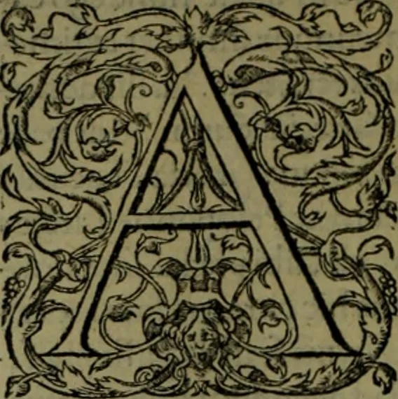 An illustration from Herodoti Halicarnassei Historiae libri IX : et De vita Homeri libellus, 1595, leaf 245