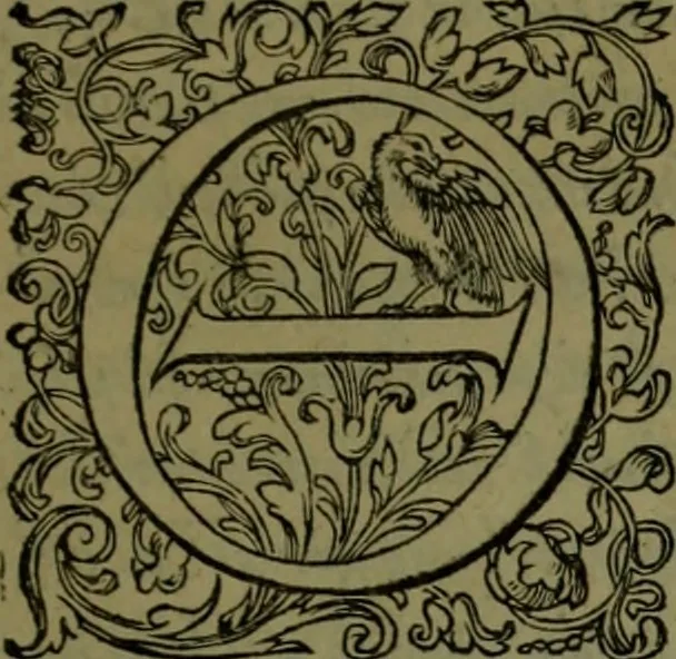 An illustration from Herodoti Halicarnassei Historiae libri IX : et De vita Homeri libellus, 1595, leaf 352