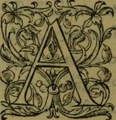 An illustration from Herodoti Halicarnassei Historiae libri IX : et De vita Homeri libellus, 1595, leaf 399