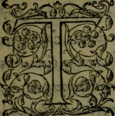 An illustration from Herodoti Halicarnassei Historiae libri IX : et De vita Homeri libellus, 1595, leaf 516