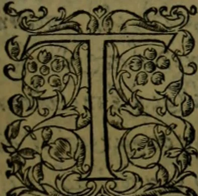 An illustration from Herodoti Halicarnassei Historiae libri IX : et De vita Homeri libellus, 1595, leaf 548