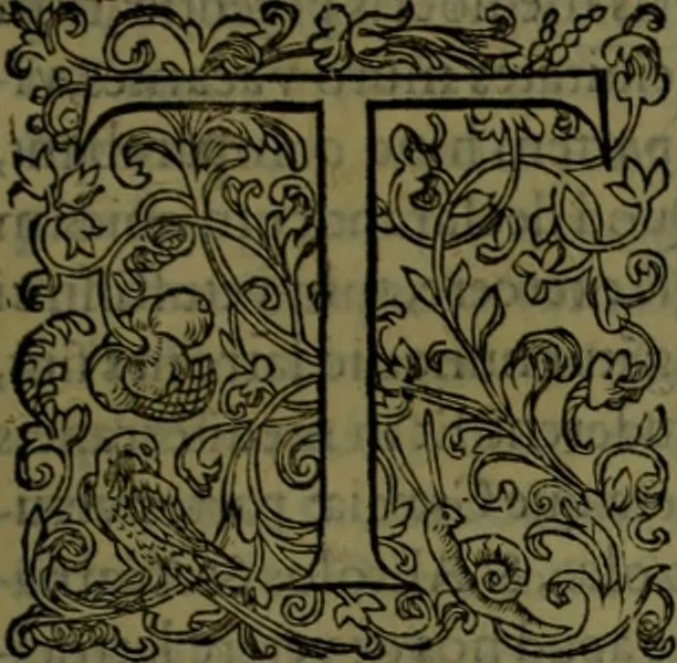 An illustration from Herodoti Halicarnassei Historiae libri IX : et De vita Homeri libellus, 1595, leaf 652