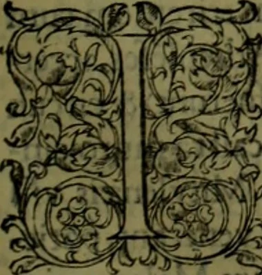 An illustration from Herodoti Halicarnassei Historiae libri IX : et De vita Homeri libellus, 1595, leaf 710