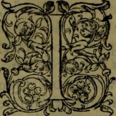 An illustration from Herodoti Halicarnassei Historiae libri IX : et De vita Homeri libellus, 1595, leaf 737