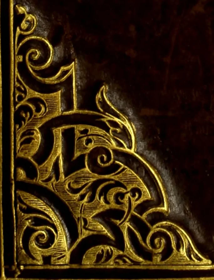 An illustration from Herodoti Halicarnassei Historiae libri IX : et De vita Homeri libellus, 1595, leaf 879
