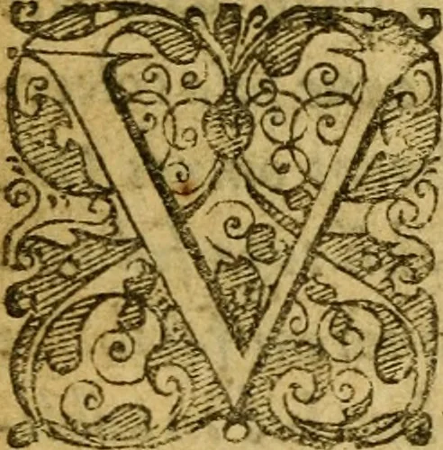 An illustration from Heroinæ nobilissimæ Ioannæ Darc Lotharingæ : vvlgo avrelianensis pvelleæ historia, ex variis grauissimæ atque incorruptissimæ fidei scriptoribus excerpta. Eiusdem mauortice Virginis Innocentia a calumniis vaindicata, 1612, leaf 12