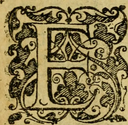 An illustration from Heroinæ nobilissimæ Ioannæ Darc Lotharingæ : vvlgo avrelianensis pvelleæ historia, ex variis grauissimæ atque incorruptissimæ fidei scriptoribus excerpta. Eiusdem mauortice Virginis Innocentia a calumniis vaindicata, 1612, leaf 24