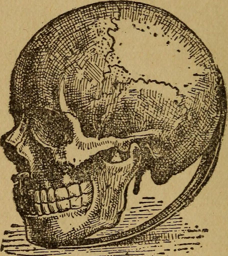 An illustration from Herrmann's wizards' manual; a practical treatise on coin tricks, 1916, leaf 105
