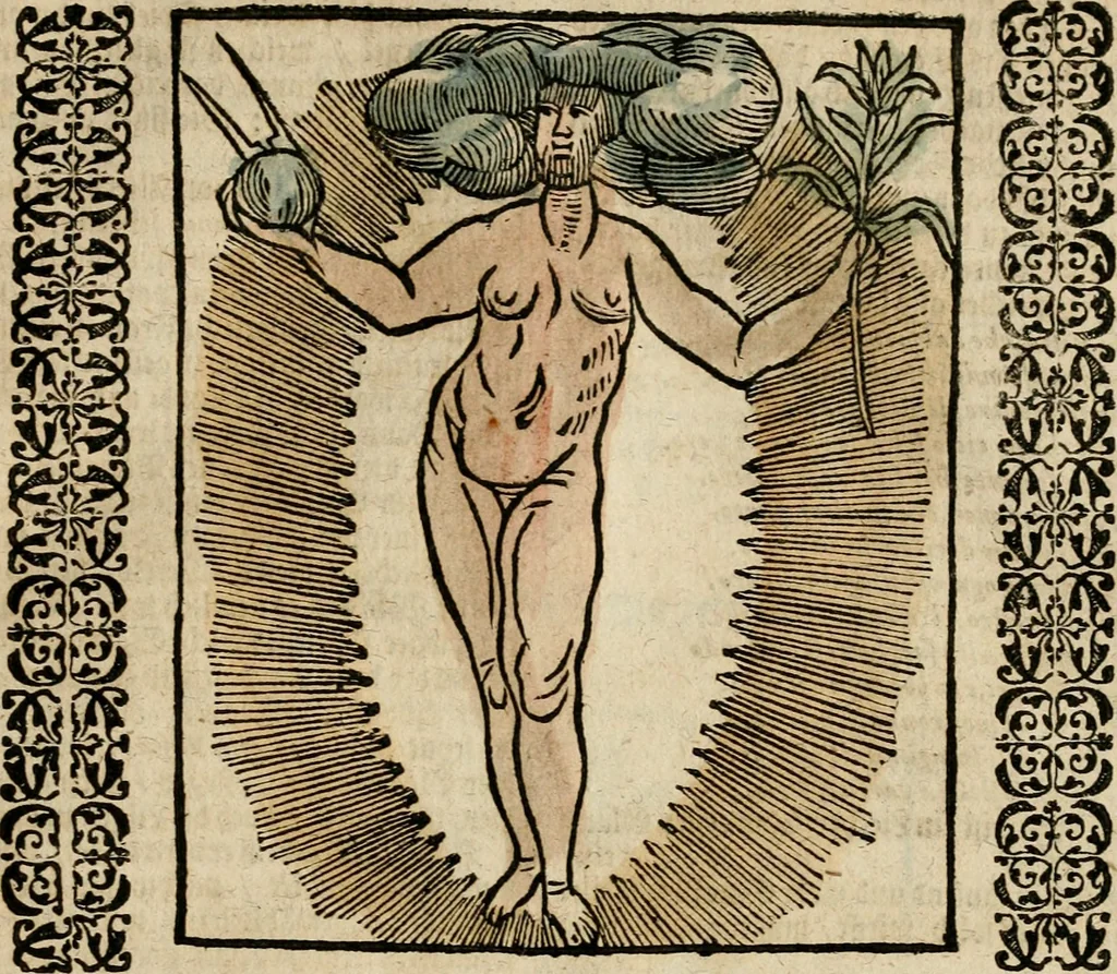 An illustration from Herrn Caesaris Ripa von Perusien, Ritters von St. Mauritio und Lazaro [et]c., Erneuerte Iconologia, oder, Bildersprach : worinen allerhand anmuhtige Aussbildungen ... erkläret werden, 1669, leaf 120