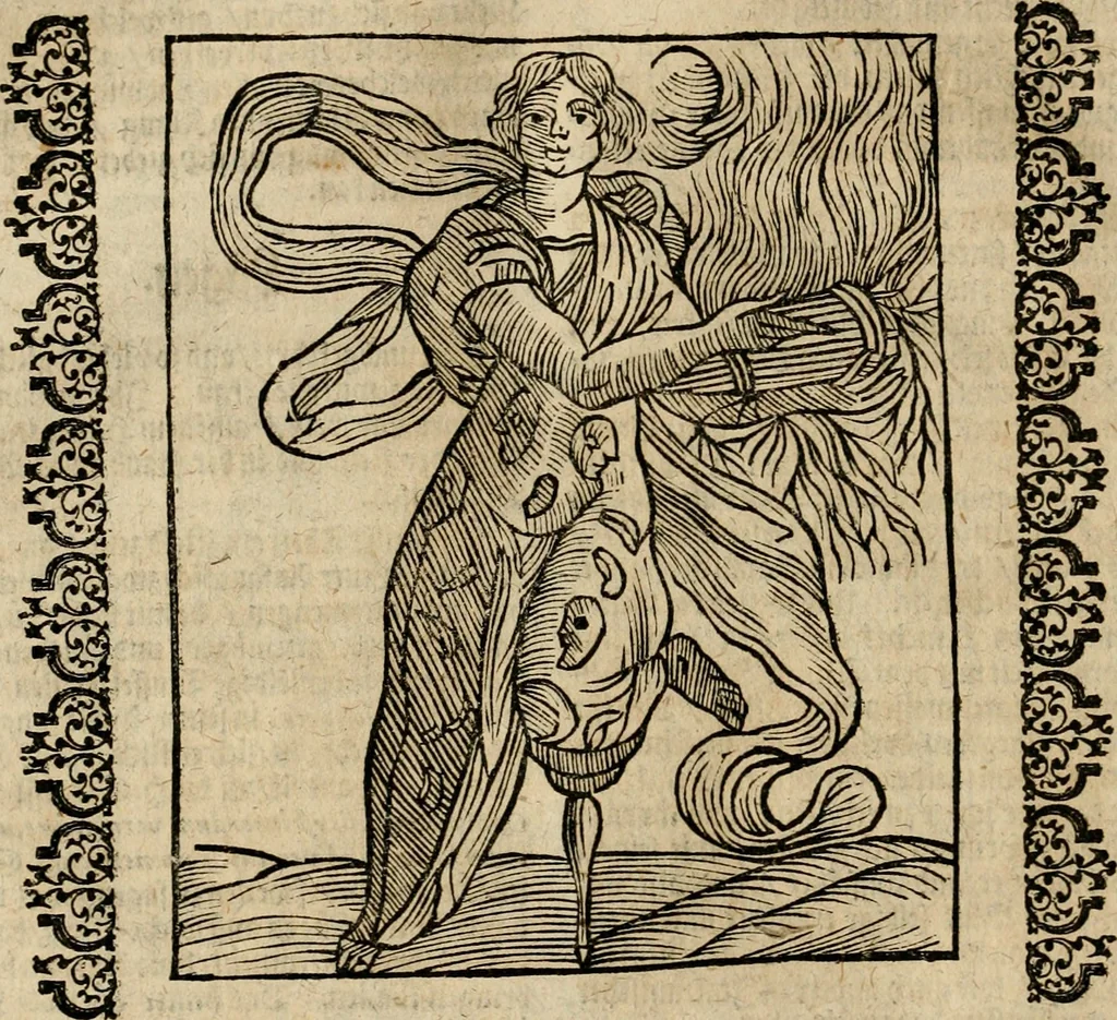 An illustration from Herrn Caesaris Ripa von Perusien, Ritters von St. Mauritio und Lazaro [et]c., Erneuerte Iconologia, oder, Bildersprach : worinen allerhand anmuhtige Aussbildungen ... erkläret werden, 1669, leaf 141
