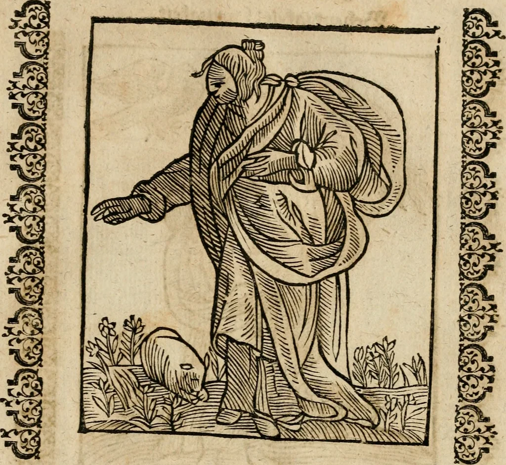 An illustration from Herrn Caesaris Ripa von Perusien, Ritters von St. Mauritio und Lazaro [et]c., Erneuerte Iconologia, oder, Bildersprach : worinen allerhand anmuhtige Aussbildungen ... erkläret werden, 1669, leaf 166