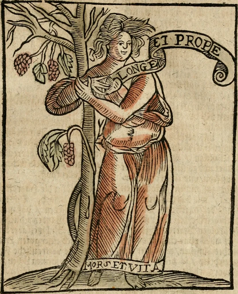 An illustration from Herrn Caesaris Ripa von Perusien, Ritters von St. Mauritio und Lazaro [et]c., Erneuerte Iconologia, oder, Bildersprach : worinen allerhand anmuhtige Aussbildungen ... erkläret werden, 1669, leaf 52