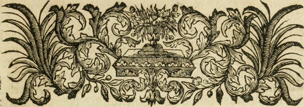 An illustration from Herrn Georgii von Welling Opus mago-cabbalisticum et theosophicum : darinnen der Ursprung, Natur, Eigenschaften und Gebrauch des Saltzes, Schwefels und Mercurii in dreyen Theilen beschrieben .., 1760, leaf 16