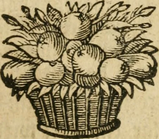An illustration from Herrn Georgii von Welling Opus mago-cabbalisticum et theosophicum : darinnen der Ursprung, Natur, Eigenschaften und Gebrauch des Saltzes, Schwefels und Mercurii in dreyen Theilen beschrieben .., 1760, leaf 192