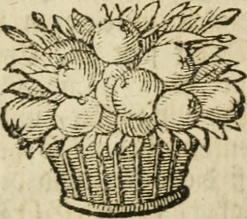 An illustration from Herrn Georgii von Welling Opus mago-cabbalisticum et theosophicum : darinnen der Ursprung, Natur, Eigenschaften und Gebrauch des Saltzes, Schwefels und Mercurii in dreyen Theilen beschrieben .., 1760, leaf 532
