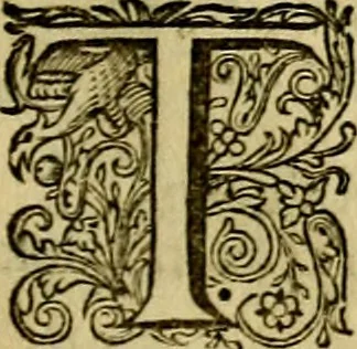 An illustration from Hertspieghel en andere zede-schriften. Meest noyt voor dezen gedrukt, 1694, leaf 82