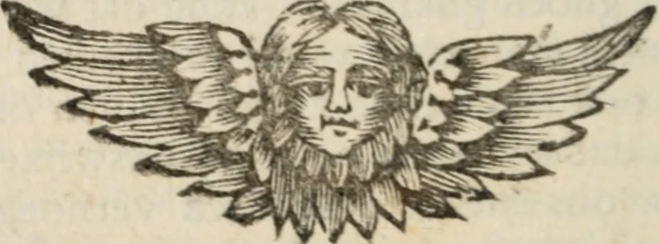 An illustration from Hertspieghel en andere zede-schriften. Meest noyt voor dezen gedrukt, 1694, leaf 173