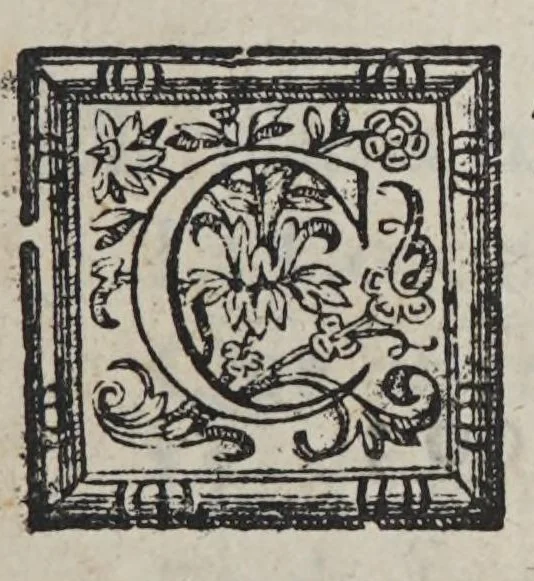 An illustration from Hespaña libertada. Parte primera[-segunda], 1618, leaf 11