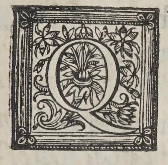 An illustration from Hespaña libertada. Parte primera[-segunda], 1618, leaf 225