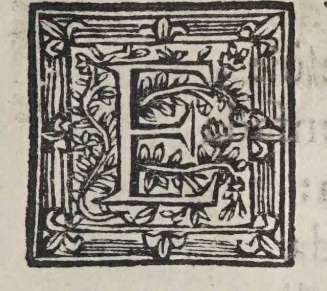 An illustration from Hespaña libertada. Parte primera[-segunda], 1618, leaf 357
