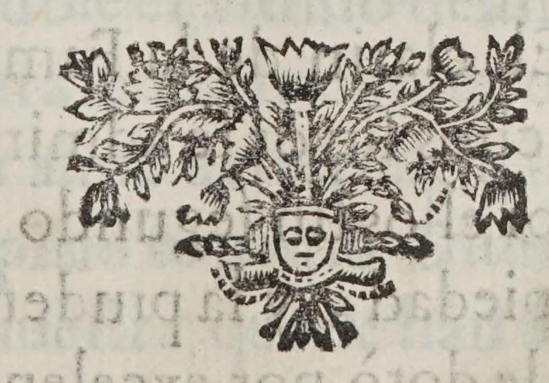 An illustration from Hespaña libertada. Parte primera[-segunda], 1618, leaf 51