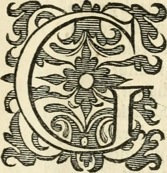 An illustration from Het ambacht van Cupido : op een nieuw ouersien ende verbetert, 1615, leaf 8