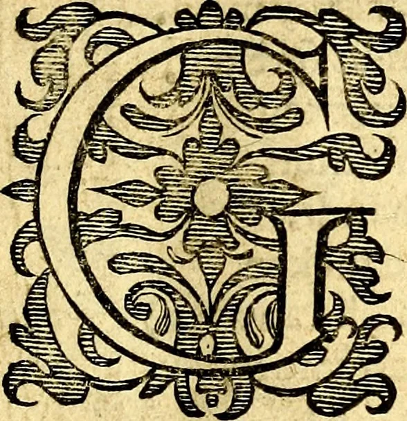 An illustration from Het ambach van Cvpido, op een nieuw ouersien ende verbetert, 1615, leaf 4