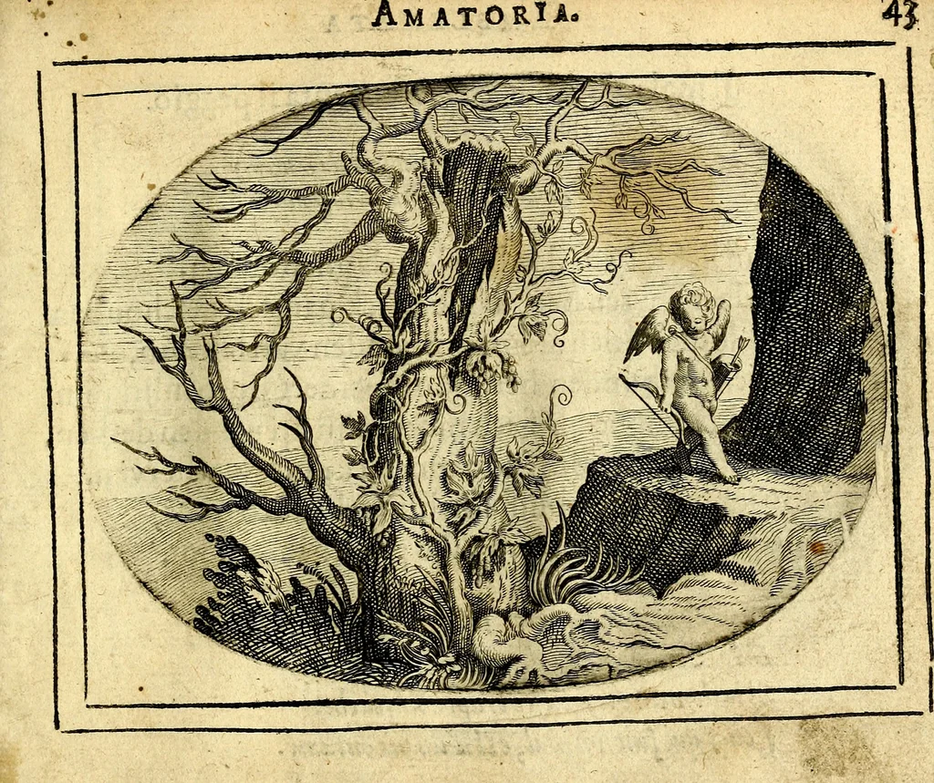 An illustration from Het ambach van Cvpido, op een nieuw ouersien ende verbetert, 1615, leaf 94