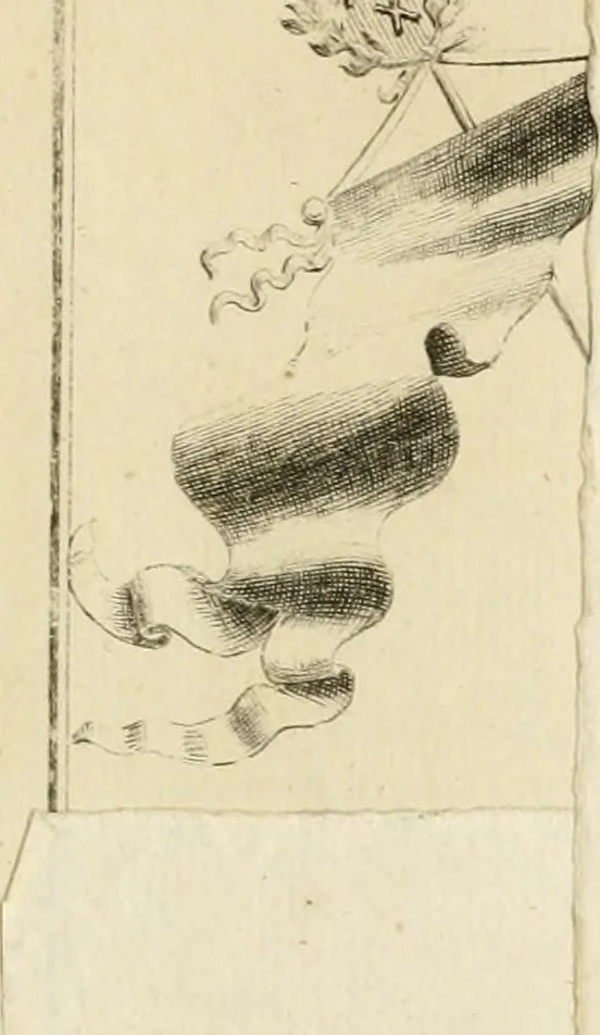 An illustration from Het blyde Breda, ofte, Kort verhaal van de plegtige intrede van den allerdoorlugtigsten vorst Willem Carel Hendrik Friso, prince van Oranje en Nassau ... als heer en baron van Breda, ende haare koninklyke hoogheid Anna, kroonprincesse van Engeland, Schotland ... : geschied op den XIII. van herfst-maand, MDCCXXXVII, 1737, leaf 12