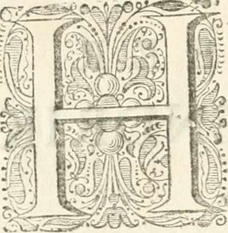 An illustration from Het blyde Breda, ofte, Kort verhaal van de plegtige intrede van den allerdoorlugtigsten vorst Willem Carel Hendrik Friso, prince van Oranje en Nassau ... als heer en baron van Breda, ende haare koninklyke hoogheid Anna, kroonprincesse van Engeland, Schotland ... : geschied op den XIII. van herfst-maand, MDCCXXXVII, 1737, leaf 5